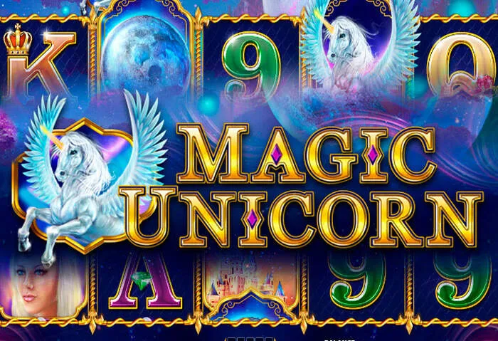 7/24 Vicibet Casino müşteri desteği
