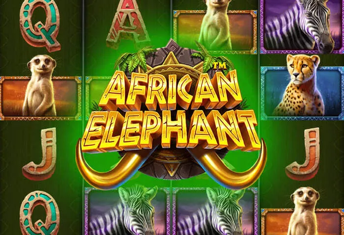 Start your Vicibet Casino Play Online journey.