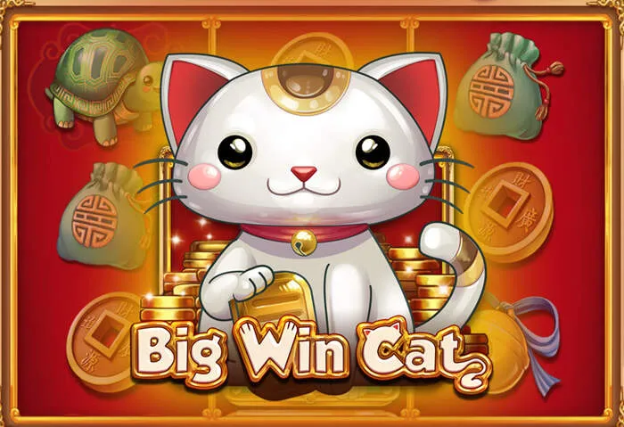 Vicibet Casino Spielautomaten für spannende Unterhaltung
