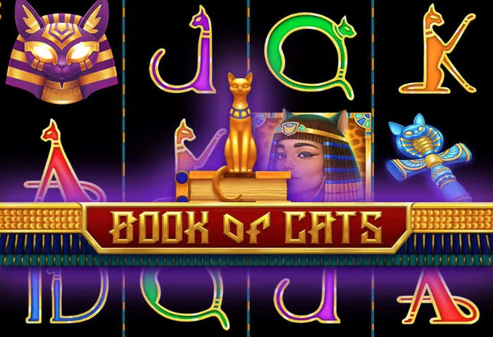 Entrar a Vicibet Casino: Guía paso a paso para usuarios.